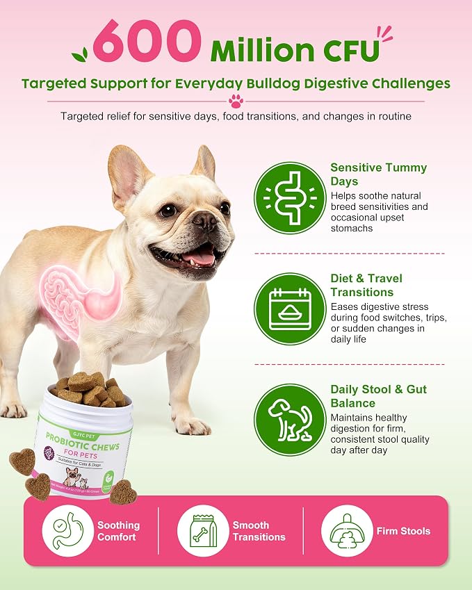 French Bulldog Probiotics - All Life Stages, Chicken Flavor