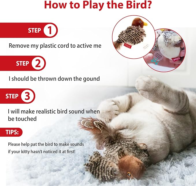 GiGwi Interactive Cat Toys Squeaky, Stimulated Chirping Bird Toy Making Noise,Automatic Chirp Bird Cat Toy with Feather Tail, Melody Chaser Play and Squeak Kitten Toy for Boredom | Interactive Cat Toy, Stimulates Hunting Instinct, Relieves Boredom for ...