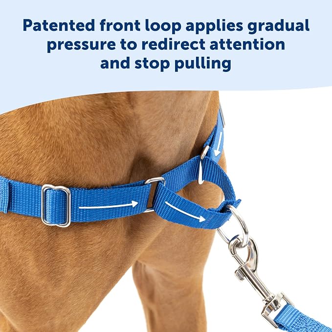 PetSafe Easy Walk Harness for Dogs - Pull-Free Walks - Patented Martingale Loop Design - Front Chest Leash Attachment - Comfort Straps - Breathable Harness Design, Charcoal/Black, X-Large (Pack of 3)