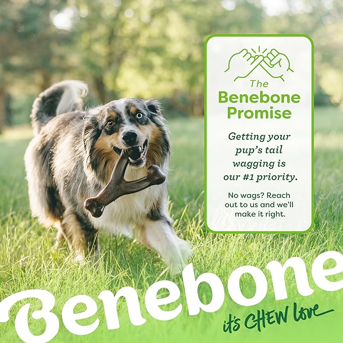 Medium 3-Pack, Benebone Wishbone Durable Dog Chew Toy for Aggressive Chewers, Real Bacon, Chicken, Peanut Butter, Made in USA, Variety Pack