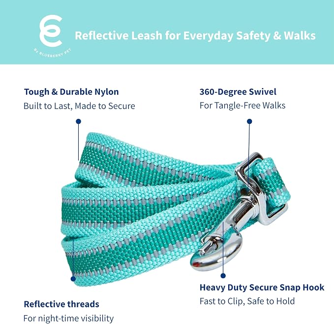 Blueberry Pet Essentials Reflective Better Basics Dog Leash, Minty Green, 5 ft x 3/4", Medium, Leashes for Dogs