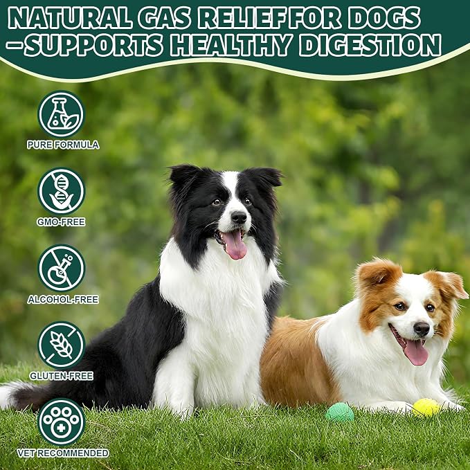 Dog Fart Remedy with 4B CFU Pediococcus Acidilactici Probiotics & Digestive Enzymes, Helps Reduce Smelly Gas & Bloating, Supports Dog Gut Health & Digestive Balance, Powder for Dogs – 5 oz