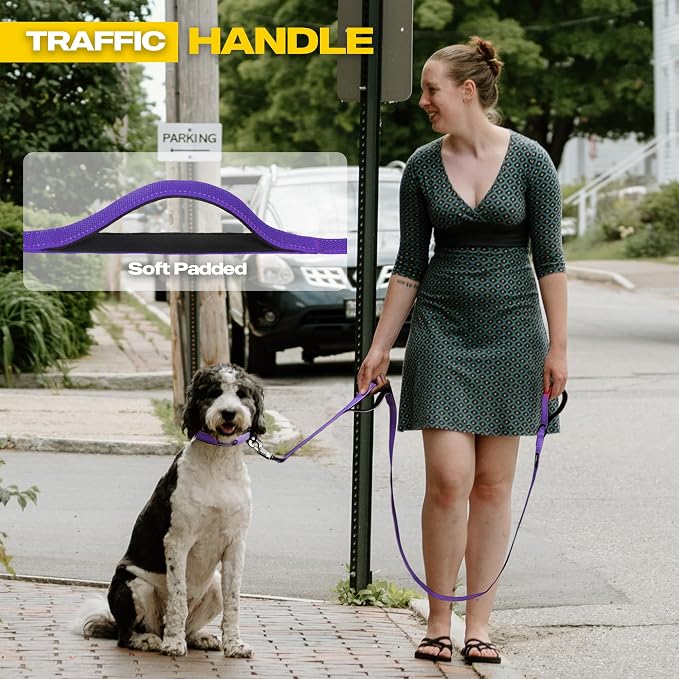 Fida 10ft Heavy Duty Dog Leash with 2 Comfortable Padded Handles, Traffic Handle & Advanced Easy Snap Hook, Reflective Walking Lead for Large, Medium & Small Breed Dogs, Purple