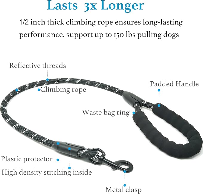 iYoShop Double Dog Leash, 360° Swivel, No Tangle, Medium, 8-35 lbs, Black | Dual Leash for Two Dogs, Split Leash, Shock-Absorbing Bungee, Padded Handle, Heavy-Duty Rope