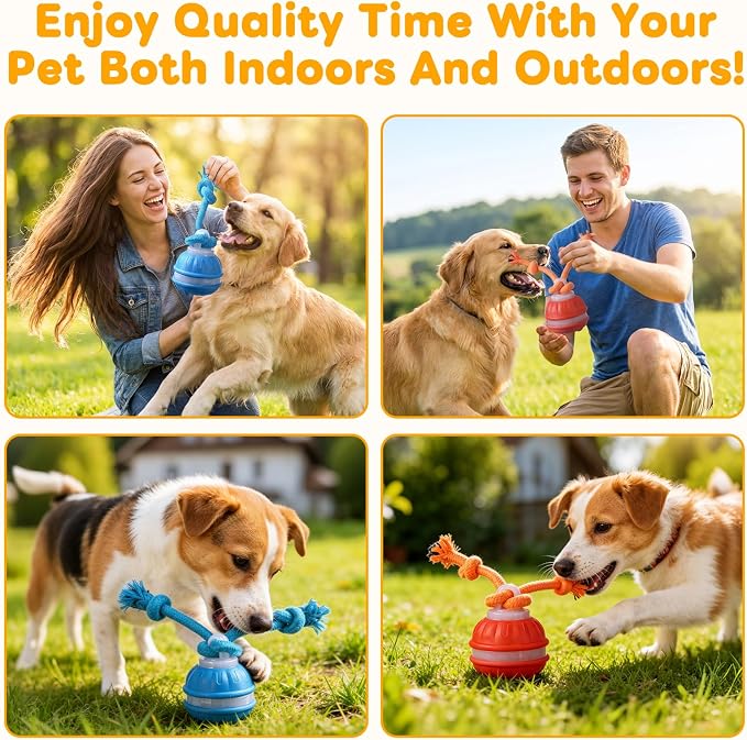 2 Mixed Zealburst Dog Toy, Interactive Dog Toys, 360° Smart Automatic Rolling Moving, Upgraded Motion Activated Squeaky Cat Balls, USB Rechargeable Smart Motion Pet Ball for Bored Pet Cats Dogs