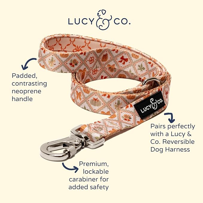 Lucy & Co. 5 Foot Designer Dog Leash for Small, Medium or Big Dogs or Puppies Puppy – Pet Accessories & Supplies- Large-Orange Cream Pumpkin