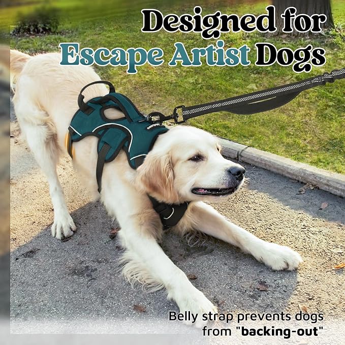 rabbitgoo Escape Proof Dog Harness for Large, No Pull with Lift Handle | No Escape, Full Soft Padded, Reflective Adjustable Vest, Leash Clip for Walking Hiking Training, Dark Green, Large