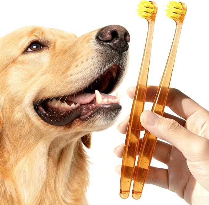 Dog Toothbrushes for Medium and Large Dogs, 2pcs, Ultra Soft Bristle, Long Durable Handle, Pet Tooth Brush and Dental Care Kit, Super Thin Bristle Gentle on Gum for Sensitive Pets, Amber