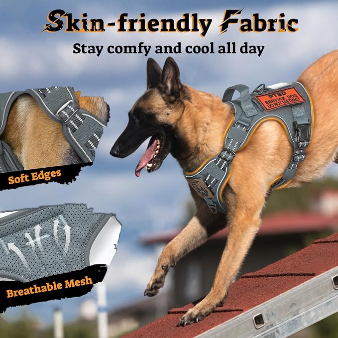 rabbitgoo Tactical Dog Harness for Large Dogs, No Pull Service Pet Vest | Military Molle System & Easy Control Handle, Adjustable and Reflective for Walking and Training, Grey, X-Large