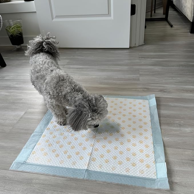 Spot Dr. Bales Early Detection Health Monitoring Pee Pads- Puppy Pee Pads with Color-Changing Paw Prints Indicating Your Dog’S Urine Ph Level, Super Absorbent, Leak Proof, 22in x 22in, 50 Pack
