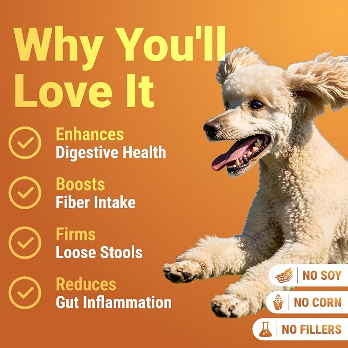 WuffWell Pumpkin Powder for Dogs - Fiber Supplement with Probiotics, USA