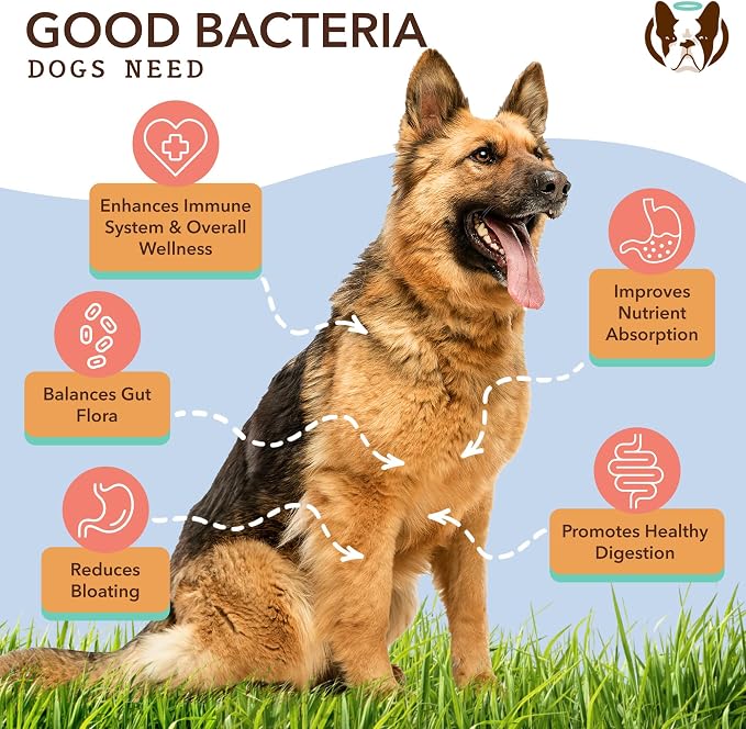 Natural Dog Company Hip & Joint and Probiotic Chews for Dogs Bundle: Glucosamine & Probiotics - Joint Support and Digestive Health Combo for Dogs of All Breeds and Sizes