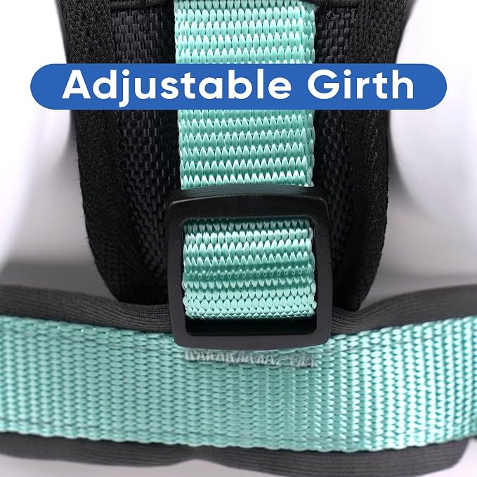 Pawtitas Reflective Padded Dog Harness for Medium Dogs – Adjustable Step-in Vest | Fits Chest 22–28 in | No Pull Training Harness | M | Teal