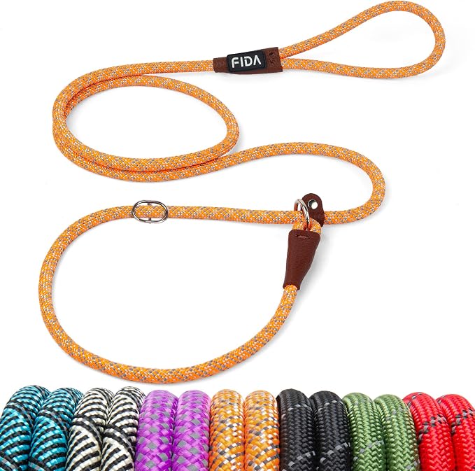 Fida Durable Slip Lead Dog Leash, 6 FT x 3/8" Heavy Duty Comfortable Strong Rope Slip Lead for Small Dogs and Puppies, No Pull Pet Training Leash with Highly Reflective (3/8", Orange)