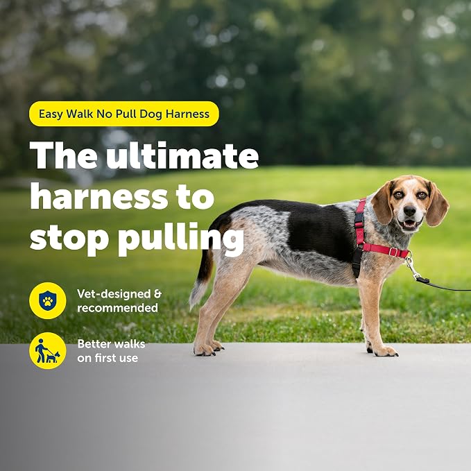 PetSafe Easy Walk No-Pull Dog Harness - Ultimate Harness to Help Stop Pulling - Pull-Free Walks - Take Control & Teach Better Leash Manners - Patented Martingale Loop Design - Red, Small/Medium