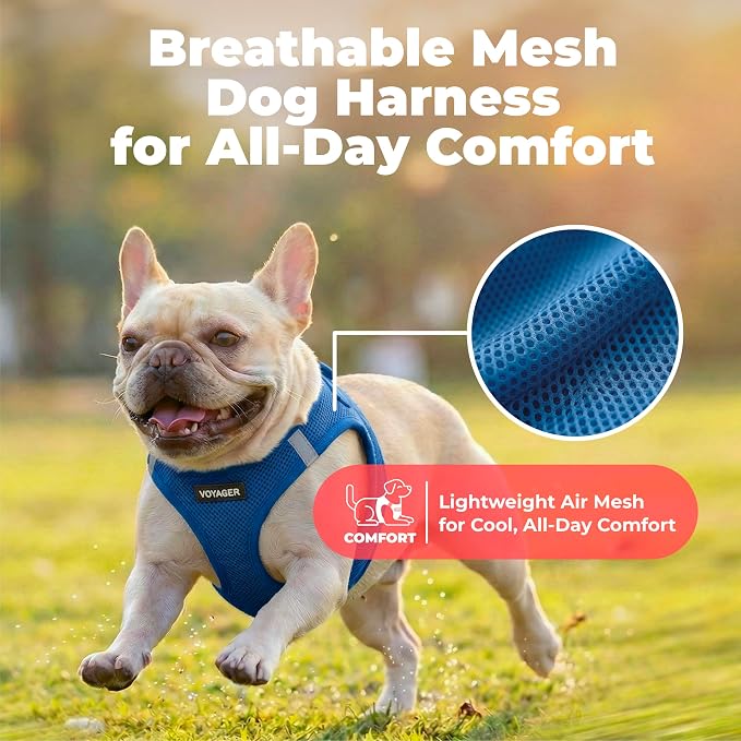 Voyager Step-in Air Dog Vest Harness - Royal Blue, Large | 18- 20.5" in Chest, Reflective Bands, All Weather Breathable Air Mesh, Cats Compatible, Lightweight, Fast Drying