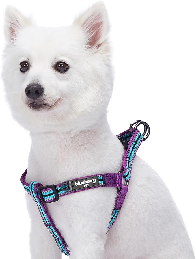Blueberry Pet 5 Colors Step-in 3M Reflective Multi-Colored Stripe Padded Dog Harness, Chest Girth 16.5" - 21.5", Violet & River Blue, Small, Adjustable Harnesses for Dogs