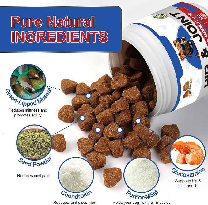 Hip & Joint Supplement Chews for Dogs – 200 Lamb Flavored Soft Chews with Glucosamine, MSM, Green Lipped Mussel, Turmeric, Collagen & Cod Liver Oil – Mobility Support for All Breeds & Ages
