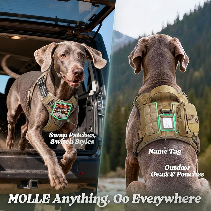 rabbitgoo Tactical Dog Harness for Large Dogs, No Pull Service Pet Vest | Military Molle System & Easy Control Handle, Adjustable and Reflective for Walking and Training, Brown, Large