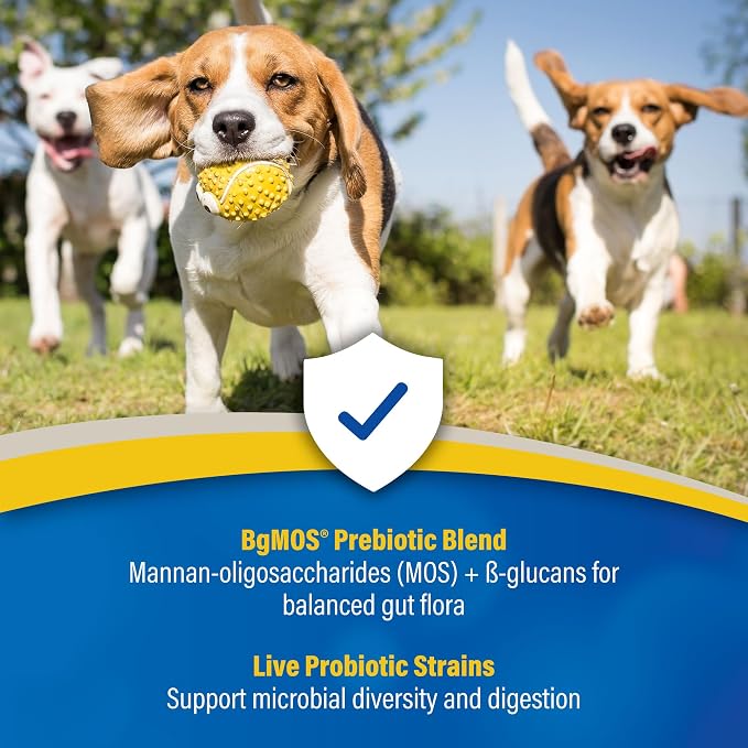 Doc Roy's GI Synbiotics Prebiotic & Probiotic Gel for Dogs & Cats, 30mL