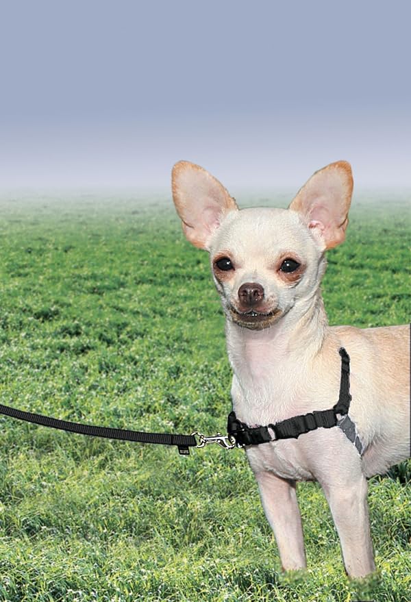 PetSafe Easy Walk No-Pull Dog Harness - Ultimate Harness to Help Stop Pulling - Pull-Free Walks - Take Control & Teach Better Leash Manners - Patented Martingale Loop Design - Black, Petite
