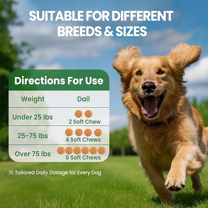 Hip and Joint Supplement for Dogs, Glucosamine for Dogs Joint Supplement