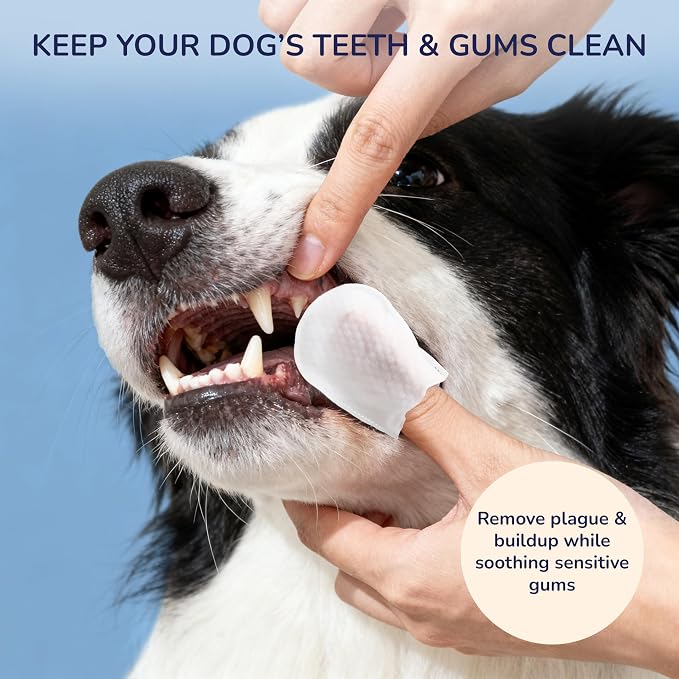 PWP1005A Dog Dental Finger Wipes for Teeth Cleaning & Breath Freshening, Infused with Aloe Vera, Coconut Oil & Honey, Removes Plaque & Tartar, Hypoallergenic Care, 60 Count