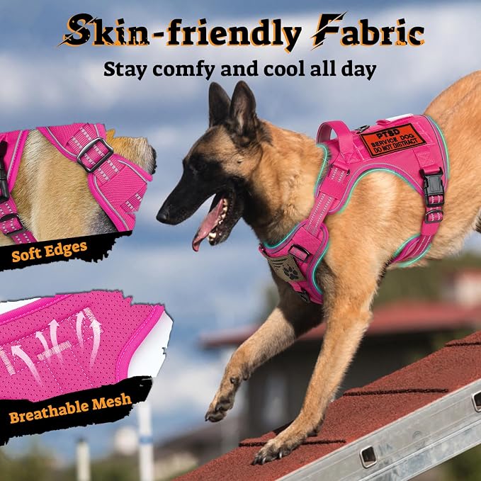 rabbitgoo Tactical Dog Harness for Large Dogs, No Pull Service Pet Vest | Military Molle System & Easy Control Handle, Adjustable and Reflective for Walking and Training, Rose Red, X-Large
