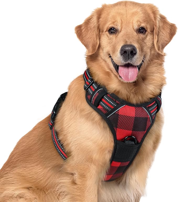 rabbitgoo Dog Harness, No Pull for Large Dogs with 2 Leash Clips, Pet Vest | No Choke with Handle, Adjustable Soft Padded, Reflective, Easy Control for Walking, Red Plaid, Small