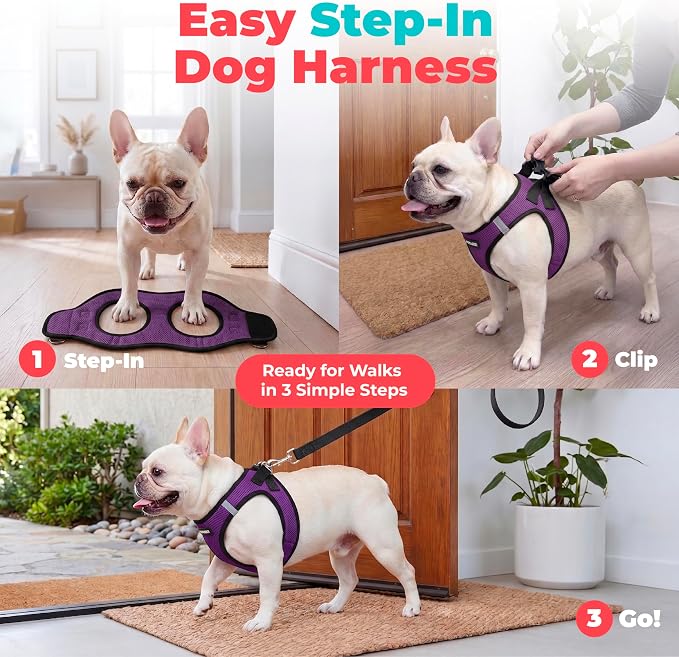 Voyager Step-in Air Dog Vest Harness - Purple/Black Trim, X-Small | 13 - 14.5" in Chest, Reflective Bands, All Weather Breathable Air Mesh, Cats Compatible, Lightweight, Fast Drying