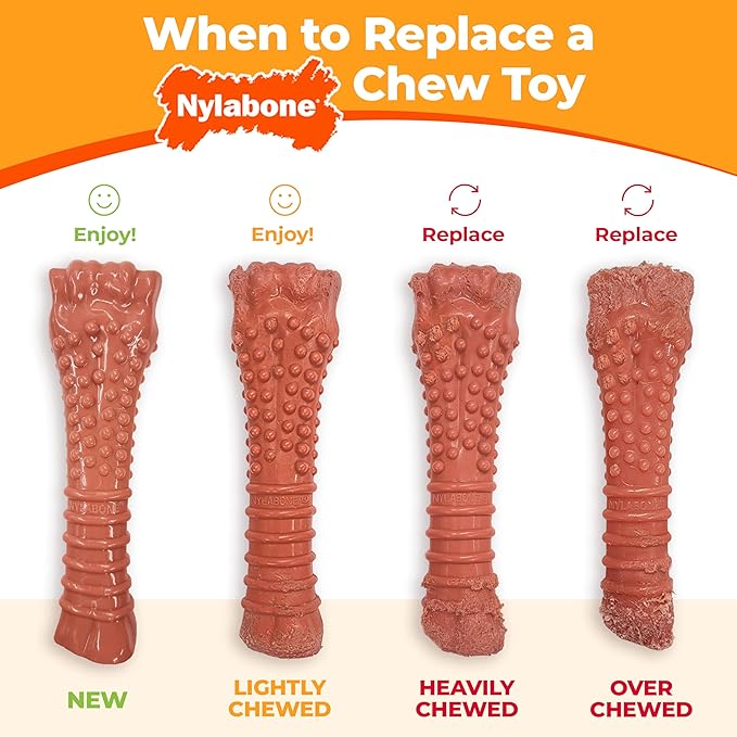 Nylabone Dental Dinosaur Power Chew Toy for Dogs, Dog Toys for Aggressive Chewers, Chicken Flavor, Small - Up to 25 lbs, 1 Count