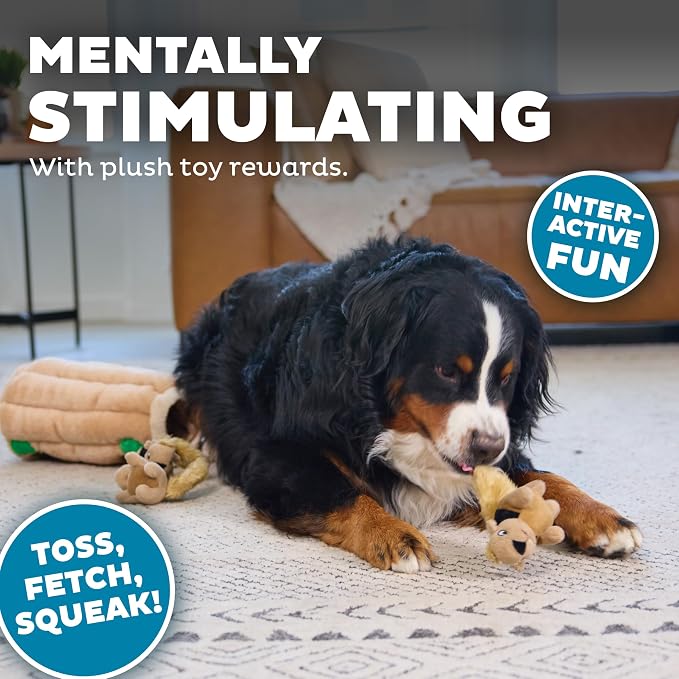 Outward Hound Hide-A-Squirrel Dog Toy – Interactive 2‑in‑1 Plush Puzzle with 6 Squeaky Removable Squirrels, X Large (Pack of 8)