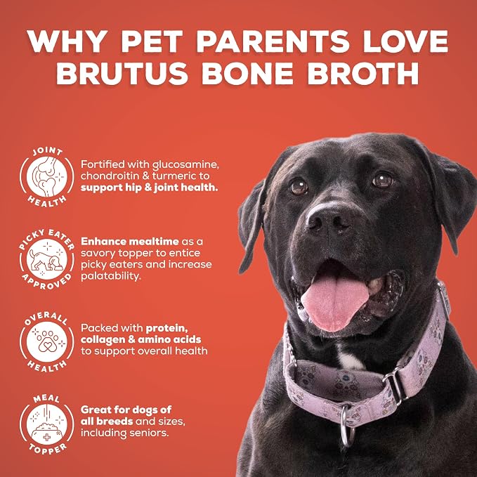 Brutus Bone Broth for Dogs - Pork, 2-Pack