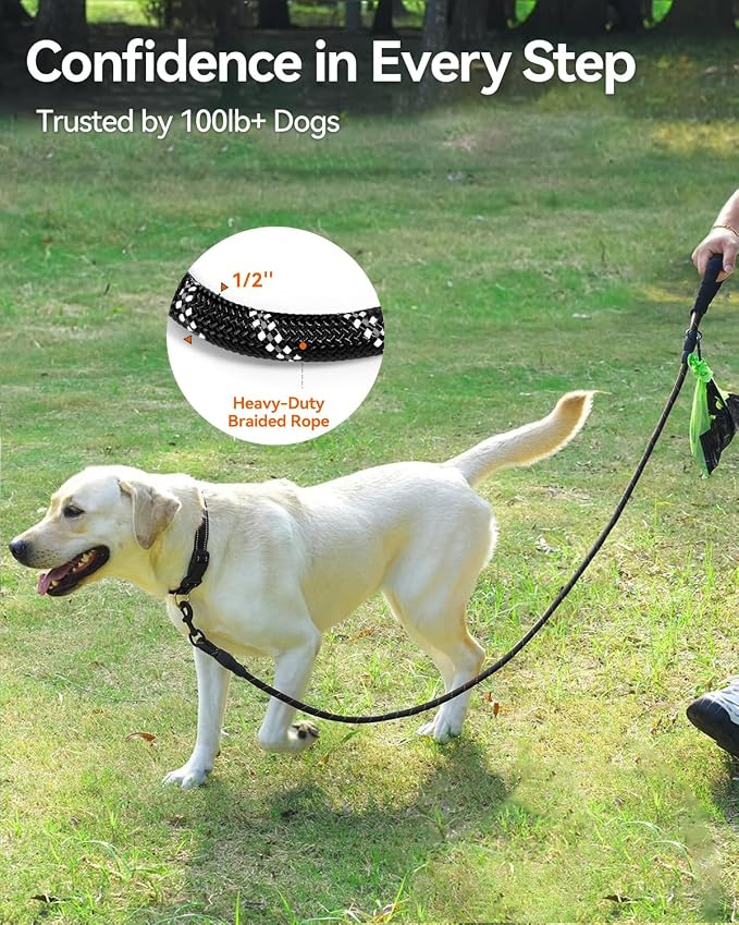 Joytale Rope Dog Leash for Medium Large Dogs, Padded Handle, 6FT, Black | Reinforced Nylon Webbing, Comfort Grip Eases Hand Strain, Swivel Clip Prevents Tangles, Visible at Night, for Outdoor Walks