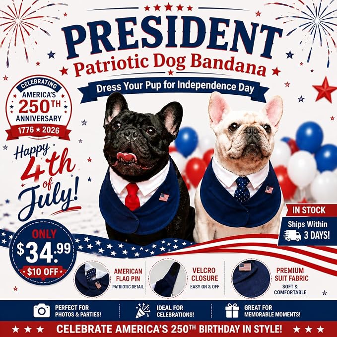Premium Red Dachshund President Costume, Medium, Medium, Red