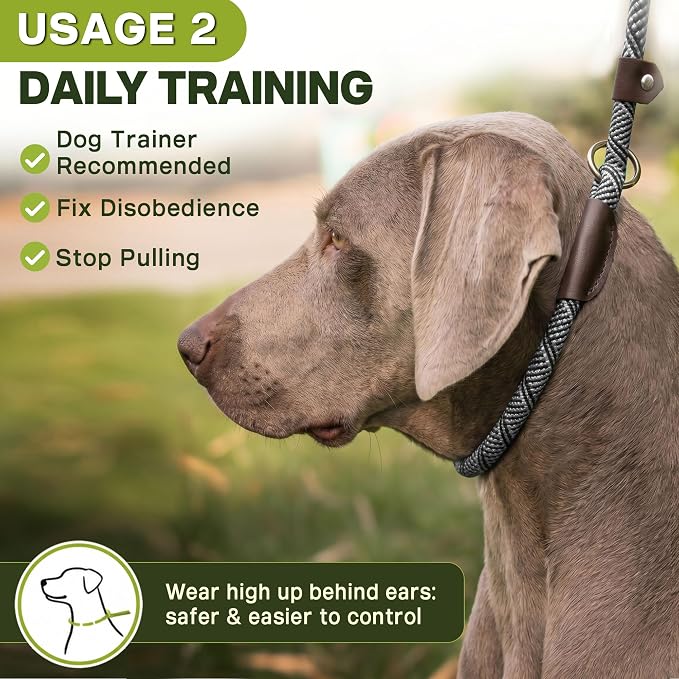 Fida Durable Slip Lead Dog Leash, 6 FT x 3/8" Heavy Duty Comfortable Strong Rope Slip Lead for Small Dogs and Puppies, No Pull Pet Training Leash with Highly Reflective(3/8", Grey)