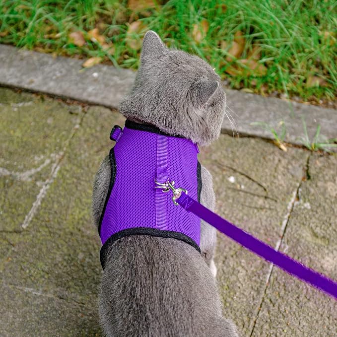 PUPTECK Soft Mesh Cat Vest Harness and Leash Set Puppy Padded Pet Harnesses Escape Proof for Cats Small Dogs Rabbits Bunny