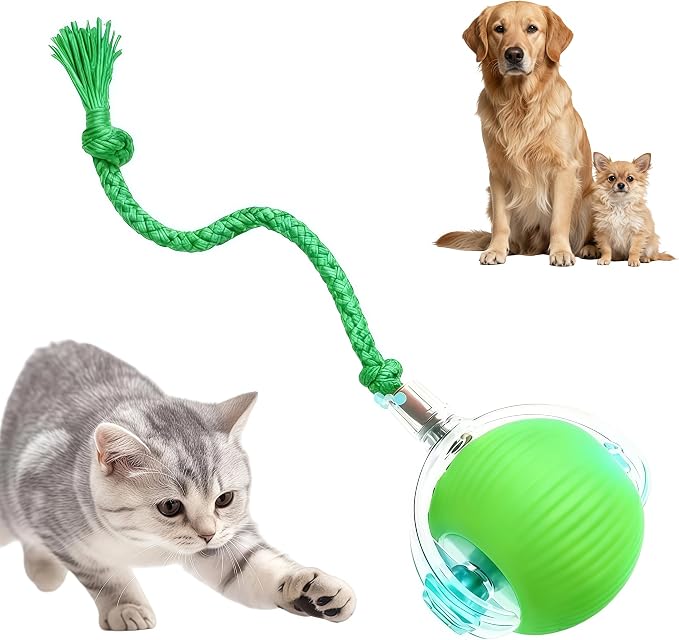 Interactive Cat Toys for Indoor Cats - Motion Activated Cat Balls with 360° - Kitten Toys to Relieve Boredom for Bored Kitten Pet Cats Dogs (Green)