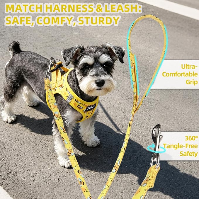 PUPTECK Dog Harness and Leash Set for Small Medium Dogs No Pull Step-in Soft Mesh Puppy Cat Vest Harnesses Reflective at Night, Yellow Bee, M