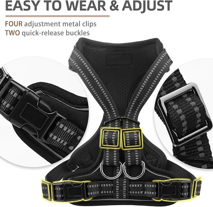 PUPTECK Dog Harness and Leash Set Medium Sized, Adjustable Reflective Escape Proof Puppy Vest, No Pull Walking Harness Easy Control