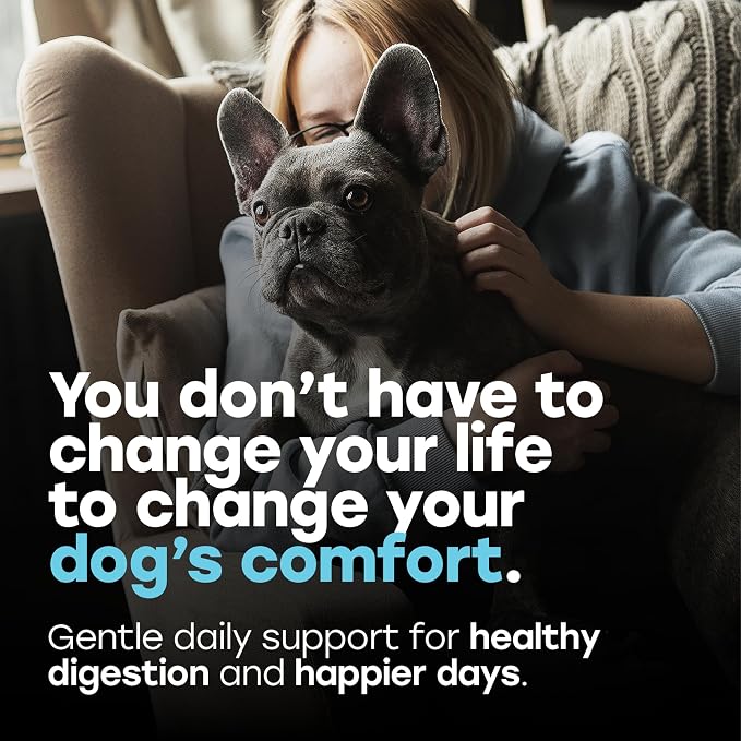Probiotics for Dogs - Digestion, Gut Health & Firmer Stool