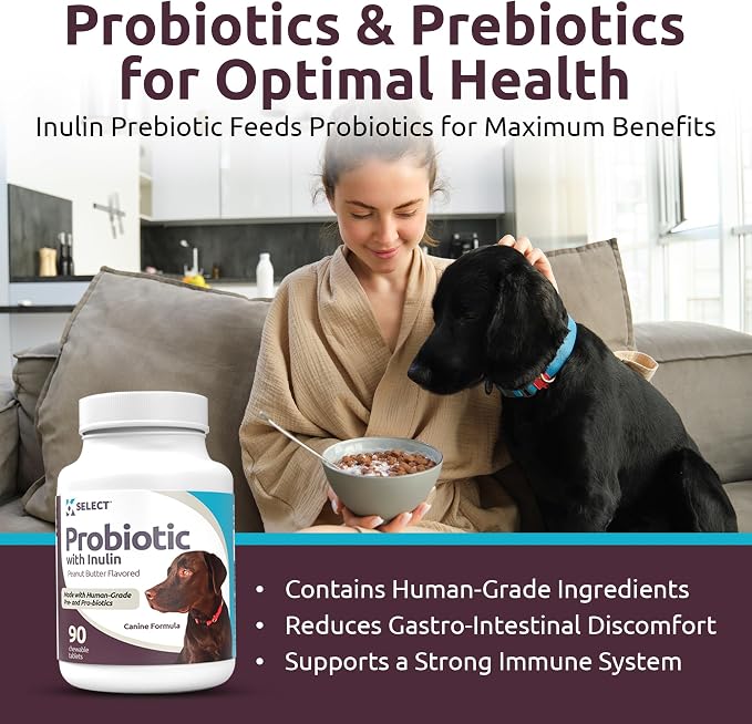 K9 Select Pet Probiotics for Dogs with Inulin – Dog probiotics for Digestive Health & Gut Support with Digestive Enzymes for Dogs, Supports Yeast Balance & Dog Digestive Support – 90 Tablets