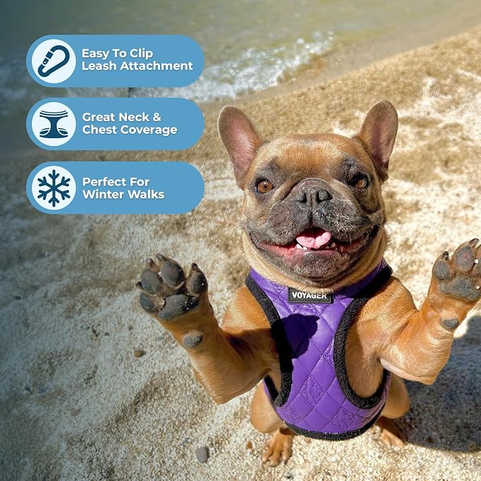 Voyager Step-in Plush Dog Vest Harness -Purple Faux Leather, X-Small | 13 - 14.5" in Chest, Soft Plush, Reflective Bands, Cold-Weather Harness, Cats Compatible. Step-In Style,