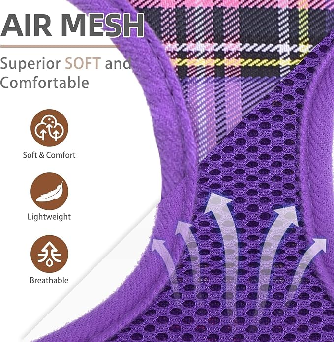 PUPTECK Soft Mesh Dog Harness and Leash Set Pet Puppy Cat Comfort Padded Vest No Pull Harnesses, Purple, S