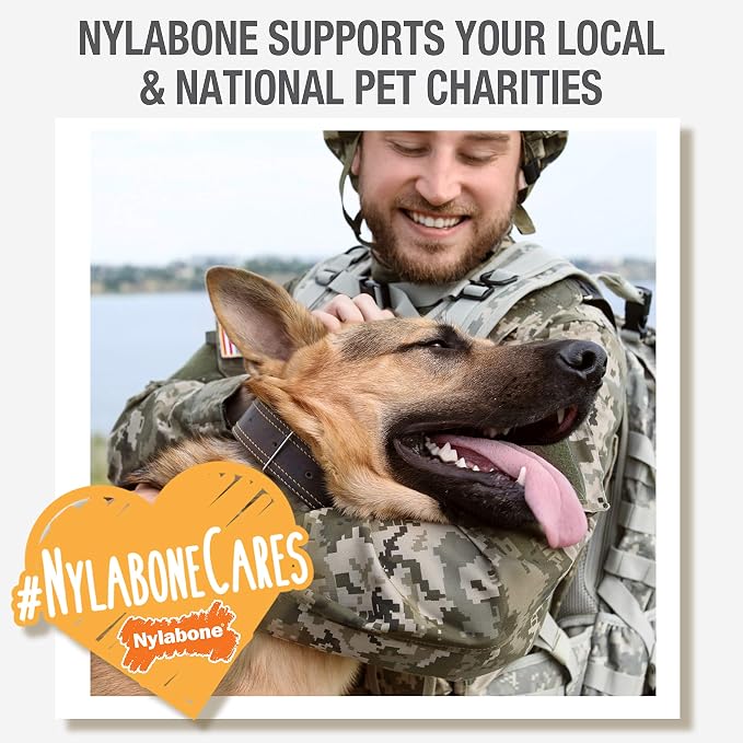 Nylabone Healthy Edibles Natural Dog Chews, Long Lasting Bones for Dogs, Bacon Flavor Dog Treats, Medium (2 Count) (Pack of 2)