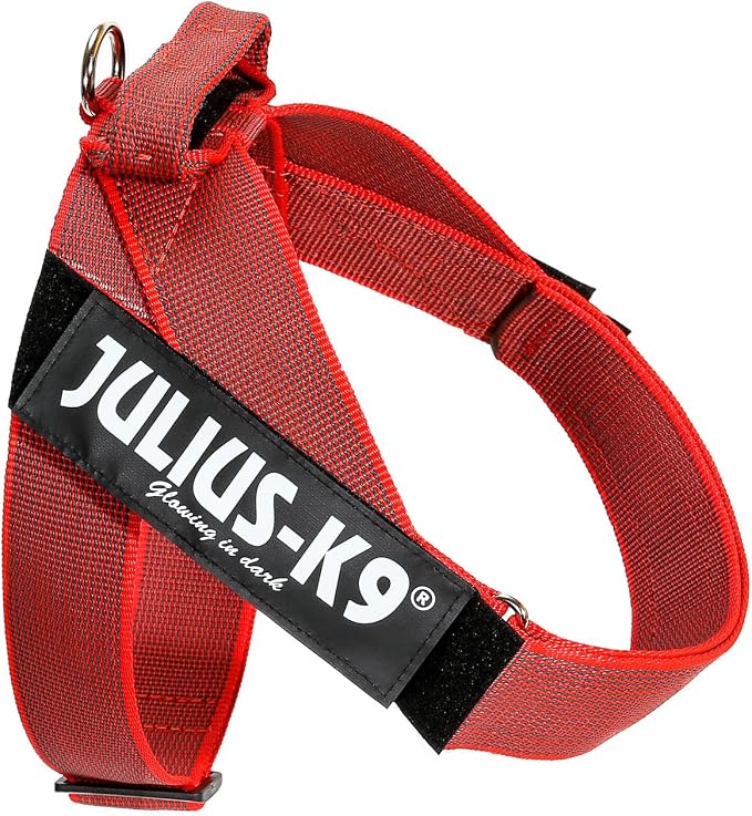 Julius-K9 IDC Color & Gray Belt Harness, Size: XL/2, Red-Gray