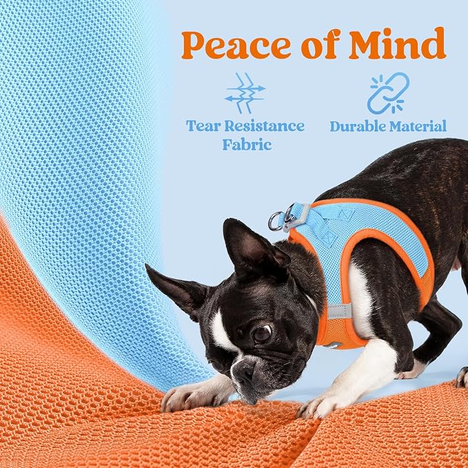 rabbitgoo Step-in Small Dog Harness, Puppy Vest for Small Sized Pet | Easy Put on and off, Lightweight, Soft, Breathable Quick-Dry Air Mesh for Comfortable Secure Walking, Blue & Orange S