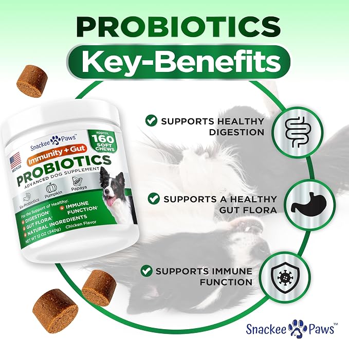 Probiotics for Dogs and Digestive Enzymes - Approx 160 Dog Probiotics Chews - Dog Probiotic - Anti Diarrhea, Upset Stomach & Gas Relief, Canine Prebiotic - Pet Fiber Supplement - Chicken Flavor