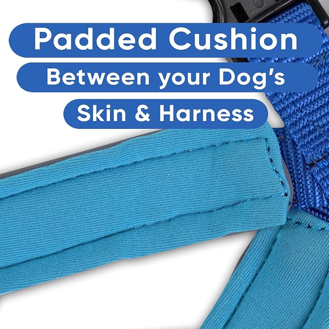 Pawtitas Reflective Padded Dog Harness for Large Dogs – Adjustable Step-in Vest | Fits Chest 27–33 in | No Pull Training Harness | L | Blue