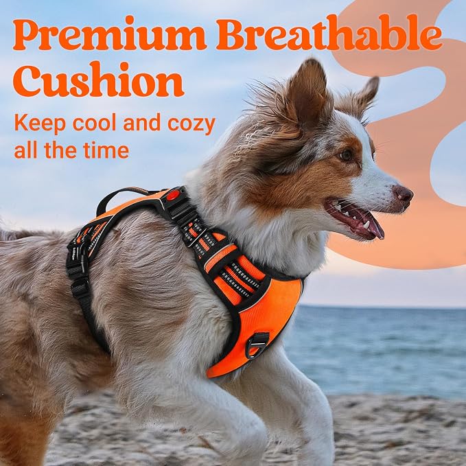 rabbitgoo Large Dog Harness, Easy Wear with 3 Buckles and Lift Handle | No Pull with Front Clip for Walking, Adjustable Soft Padded, Reflective, Easy Control, Orange, Medium